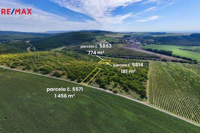 Prodej pole, Lovčice, 5541 m2