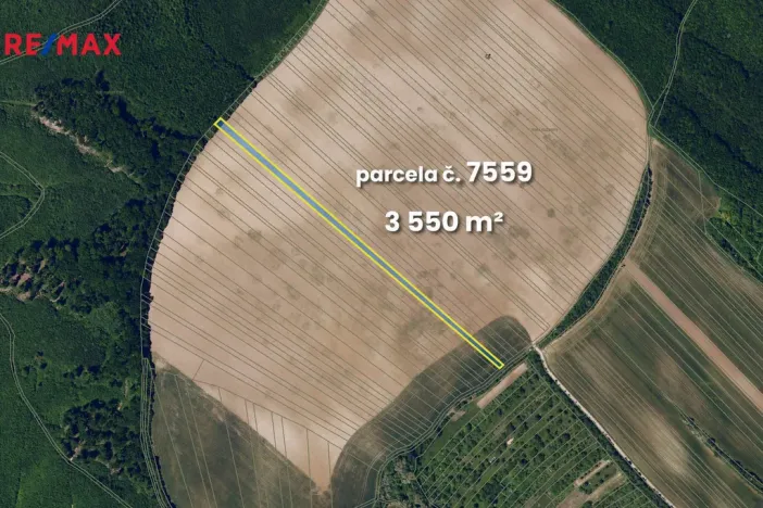 Prodej pole, Lovčice, 5541 m2