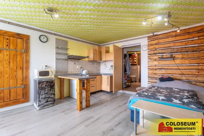 Prodej vícegeneračního domu, Dolní Kounice, 170 m2