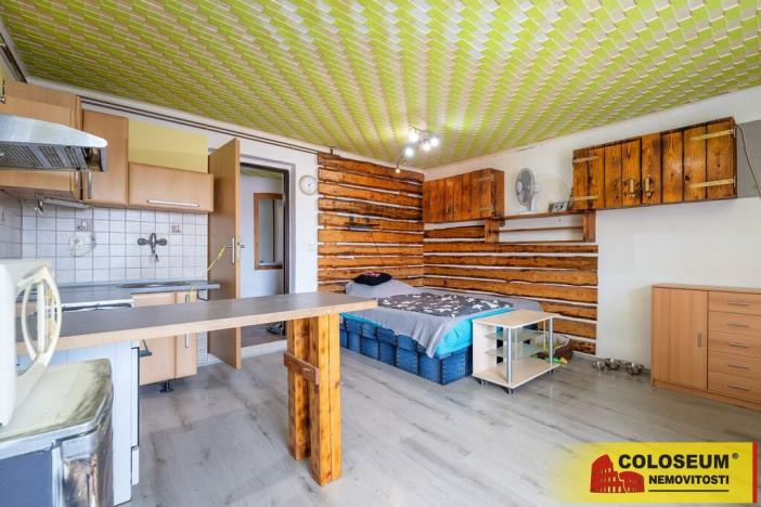 Prodej vícegeneračního domu, Dolní Kounice, 170 m2