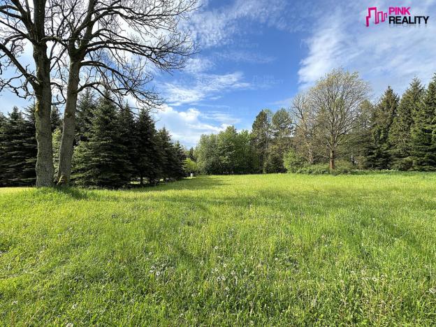 Prodej pozemku pro bydlení, Orlické Záhoří, 3544 m2