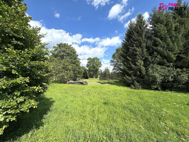 Prodej pozemku pro bydlení, Orlické Záhoří, 3544 m2