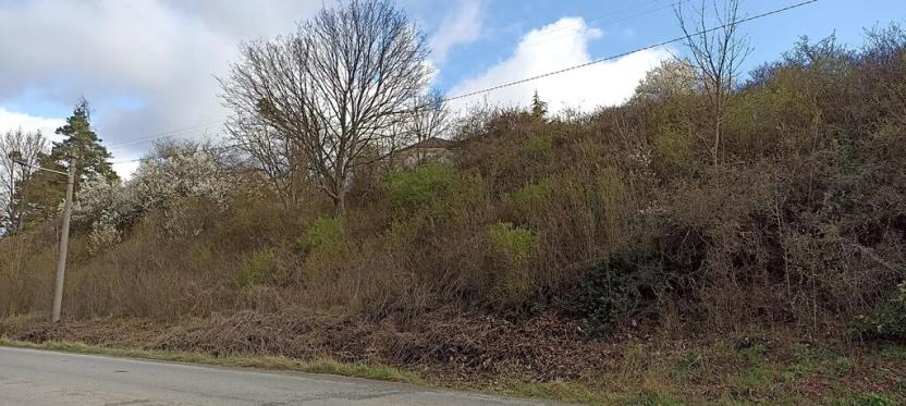 Prodej pozemku pro bydlení, Rosice, 1043 m2