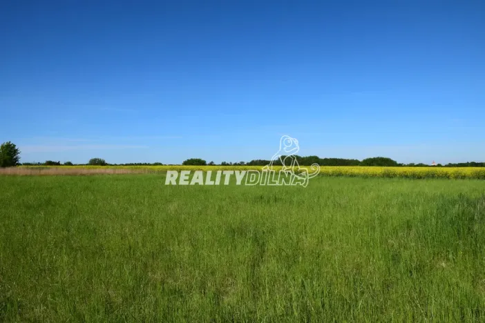 Prodej pozemku pro bydlení, Zlatá, 900 m2