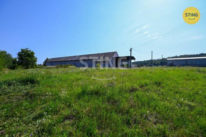 Prodej komerčního pozemku, Stavenice, 7283 m2