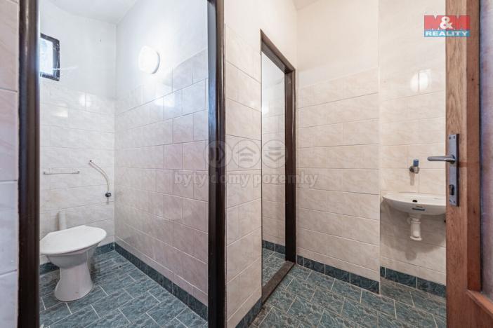 Prodej rodinného domu, Velim - Vítězov, 450 m2