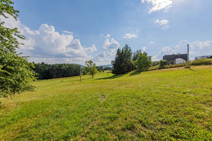 Prodej pozemku pro bydlení, Hanušovice - Žleb, 4075 m2