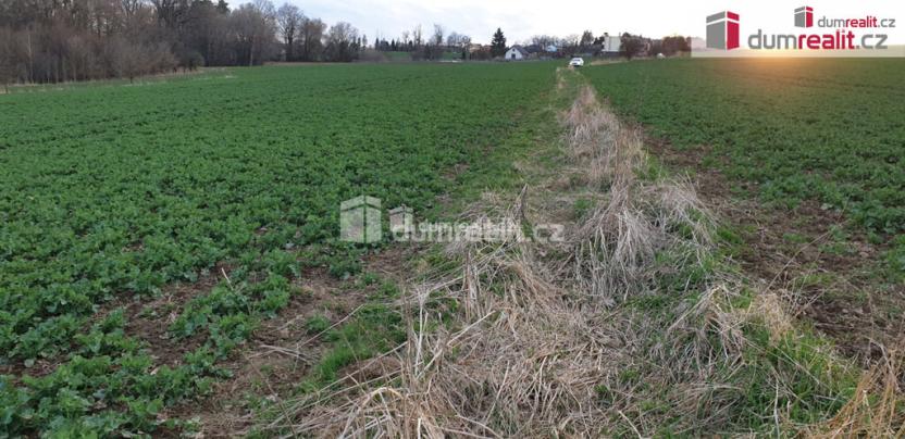 Prodej pole, Dolní Lhota, 3516 m2