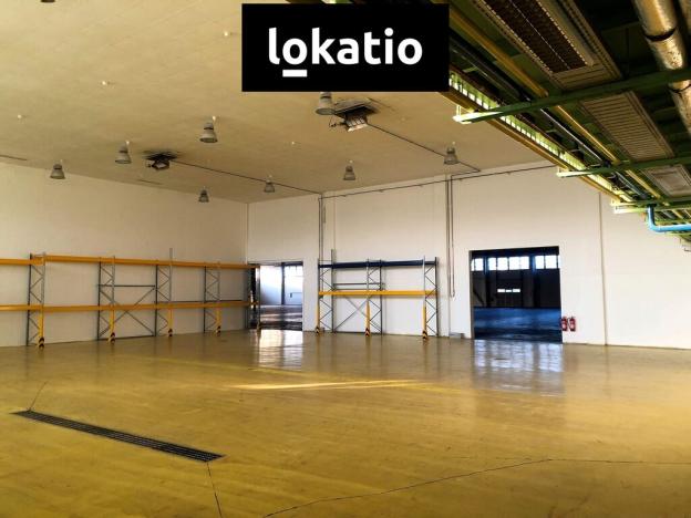 Pronájem skladu, Olomouc - Holice, 4343 m2