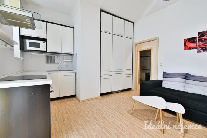 Pronájem bytu 2+kk, Brno, Kartouzská, 44 m2