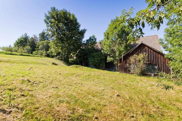 Prodej zemědělské usedlosti, Horní Pěna, 450 m2