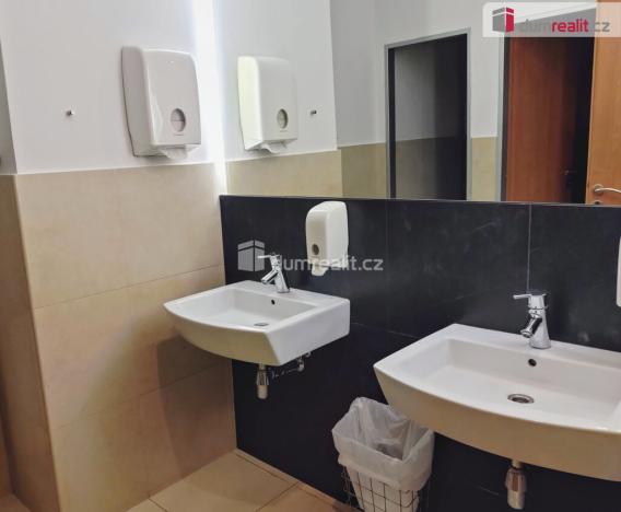 Pronájem kanceláře, Praha, Žerotínova, 21 m2