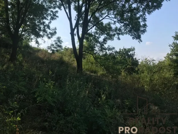 Prodej zahrady, Kobeřice u Brna, 2052 m2