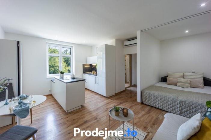 Prodej bytu 1+kk, Znojmo, Růženy Svobodové, 28 m2