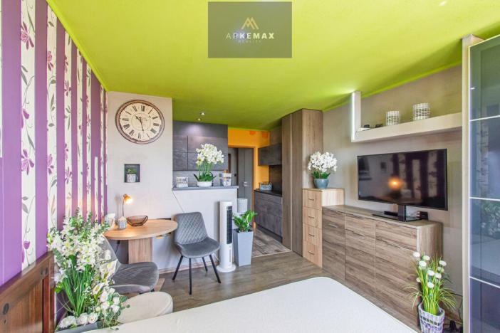 Prodej bytu 1+kk, Ostrava, Lechowiczova, 28 m2