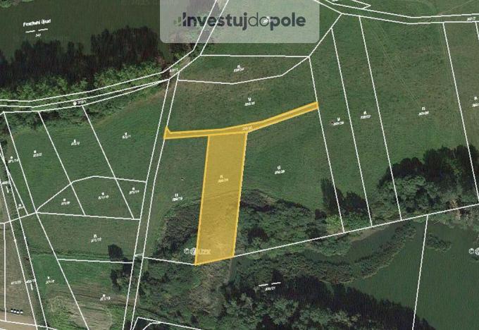 Prodej louky, Chanovice - Újezd u Chanovic, 2378 m2