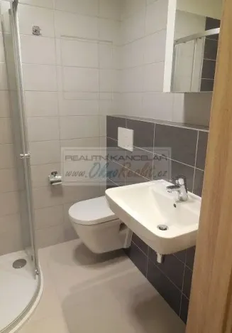 Pronájem bytu 1+kk, Brno - Slatina, Tilhonova, 30 m2