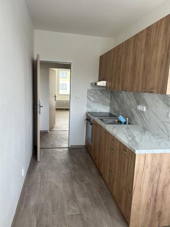 Pronájem bytu 1+1, Lázně Bohdaneč, Na Lužci, 45 m2