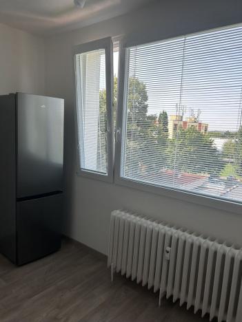 Pronájem bytu 1+1, Lázně Bohdaneč, Na Lužci, 45 m2