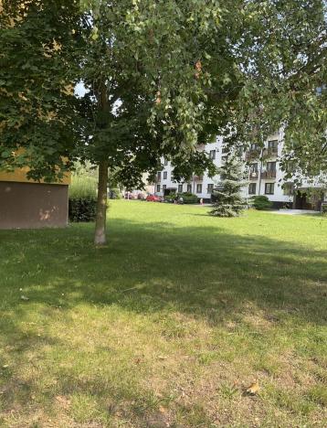 Pronájem bytu 1+1, Lázně Bohdaneč, Na Lužci, 45 m2