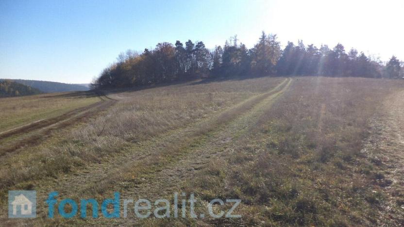 Prodej pole, Prostějovičky, 4923 m2