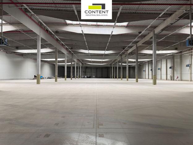 Pronájem skladu, Bor - Nová Hospoda, 20662 m2