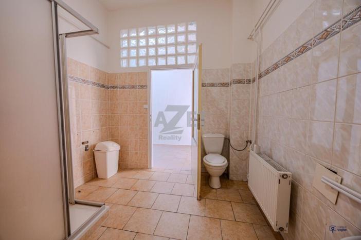 Prodej bytu 4+kk, Opava - Předměstí, Pivovarská, 135 m2