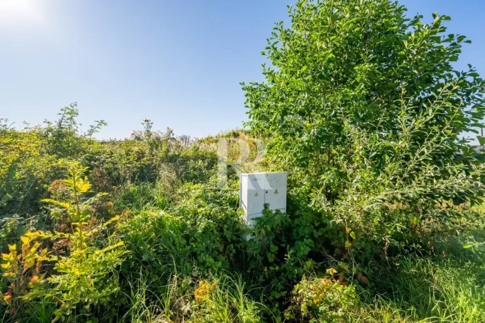 Prodej pozemku pro bydlení, Svojkov, 2412 m2