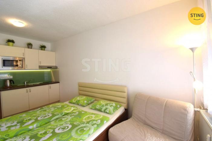 Pronájem bytu 1+kk, Všemina, 24 m2