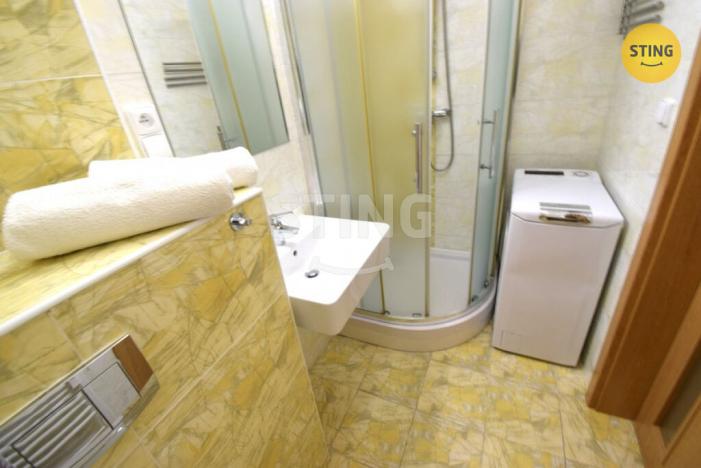 Pronájem bytu 1+kk, Všemina, 24 m2