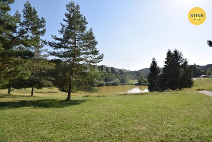 Pronájem bytu 1+kk, Všemina, 24 m2