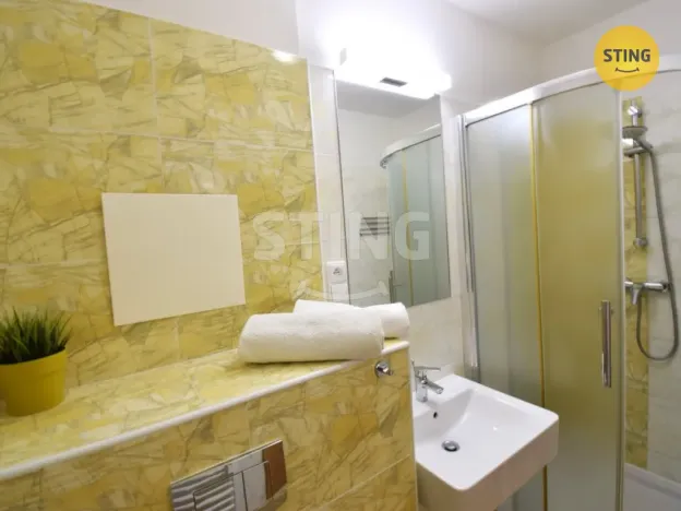 Pronájem bytu 1+kk, Všemina, 24 m2