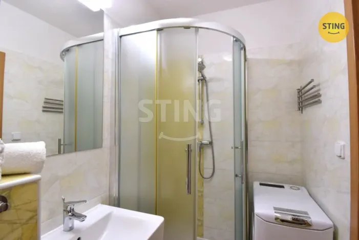 Pronájem bytu 1+kk, Všemina, 24 m2