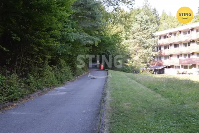 Pronájem bytu 1+kk, Všemina, 24 m2