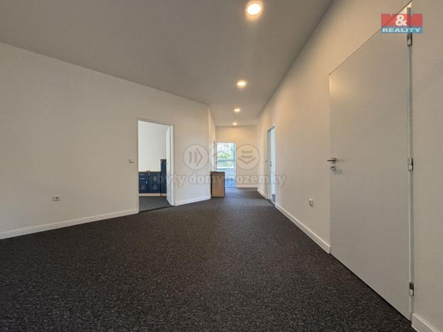 Pronájem kanceláře, Ostrava - Přívoz, Trocnovská, 240 m2