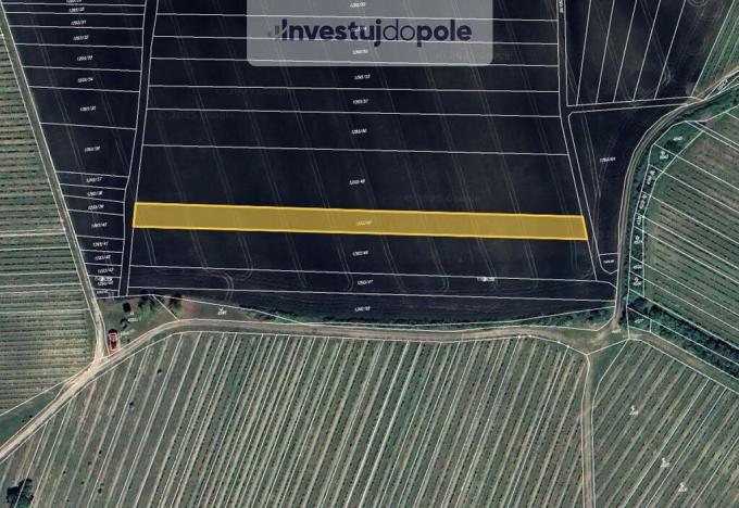 Prodej pole, Starovičky, 2804 m2