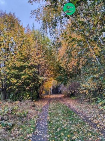 Prodej zahrady, Čáslav, Vrchovská, 270 m2