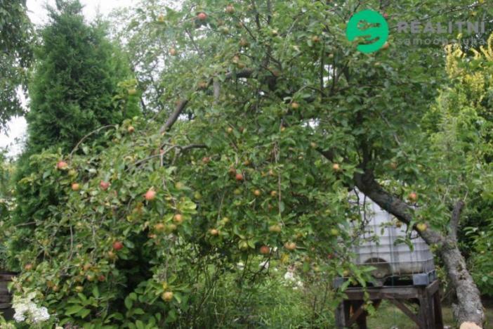 Prodej zahrady, Čáslav, Vrchovská, 270 m2