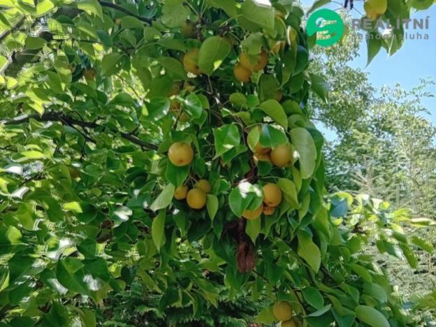 Prodej zahrady, Čáslav, Vrchovská, 270 m2