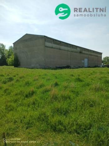 Prodej skladu, Dašice, 2500 m2