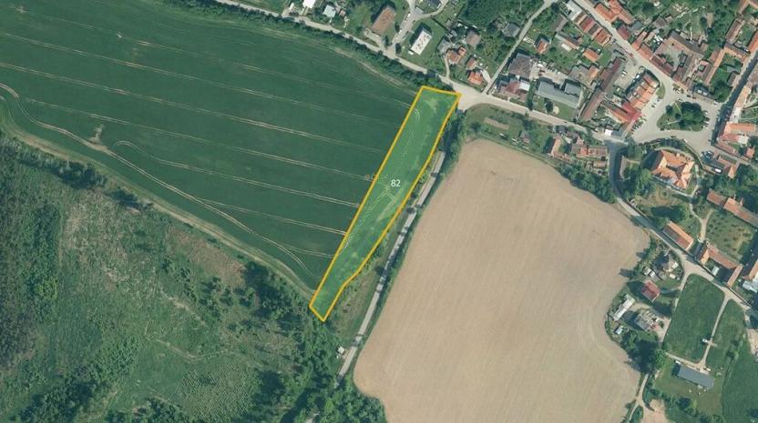 Prodej louky, Dub, 11482 m2