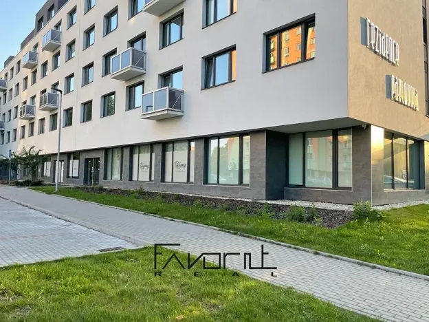 Pronájem bytu 2+kk, Ostrava, Pavlovova, 45 m2