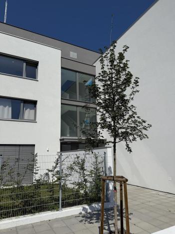 Pronájem bytu 1+kk, Ostrava - Slezská Ostrava, U Hájenky, 34 m2