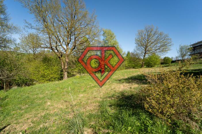 Prodej pozemku pro bydlení, Rybník, 1928 m2