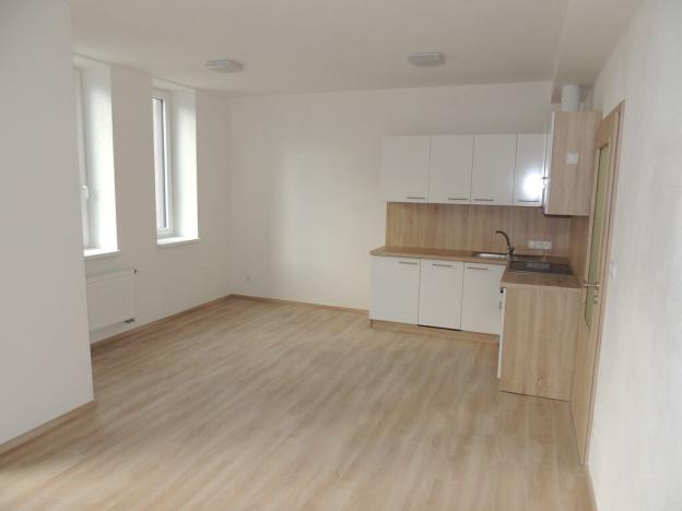 Pronájem bytu 1+kk, Plzeň, U Velkého rybníka, 34 m2