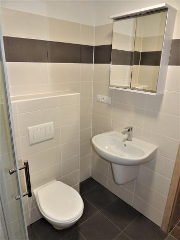 Pronájem bytu 1+kk, Plzeň, U Velkého rybníka, 34 m2