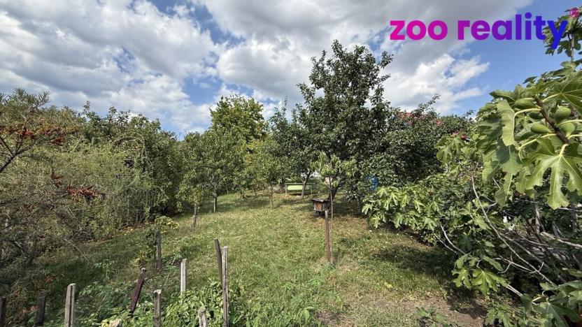 Prodej zahrady, Údlice, 509 m2