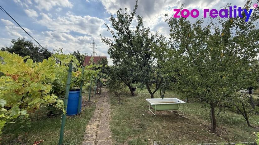 Prodej zahrady, Údlice, 509 m2