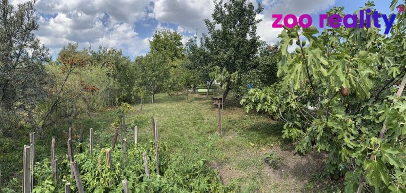 Prodej zahrady, Údlice, 509 m2