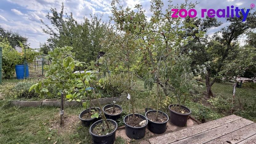 Prodej zahrady, Údlice, 509 m2